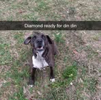 Joseph Dunson - Facebook