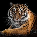 Joseph Ebert - @joseph_ebert_ - Instagram