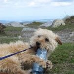 Joseph Egan - @josephegan2002 - Instagram