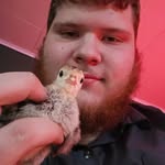 Joseph Elam - @its_the_better_joe - Instagram