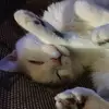 Joseph Elam - @joseph.elam1 - TikTok