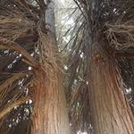 Joseph Elisha - @joseph.elisha.7587 - Instagram