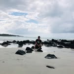 Joseph Elliug's - @josephelliug - Instagram