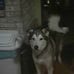 Joseph Enright - Facebook