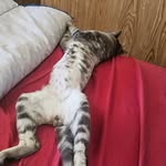 Joseph Fairfield - @skipper82175 - Instagram