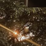 Joseph Fallin - @agalyhafsaf - Instagram