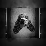 Joseph Fecteau - @joefecteauphotography - Instagram