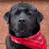Joseph Fedor - @joseph_fedor_ - TikTok