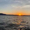 Joseph Fedor - @josephfedor - TikTok