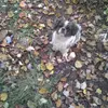 josephfeltner957 - @yooperpatriot - TikTok