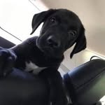 Ryan Joseph Fenstermacher - @ryanfenster4199 - Instagram
