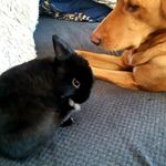 Joseph Fenwick - @jumpinstar2009 - Instagram