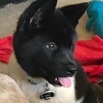 Joseph Fenwick - @smallz1279 - Instagram