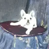 Joseph Ferencer çvc - @joseph.ferencer.v - TikTok