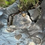 Joseph ferron - @jo200126 - Instagram