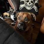 Joseph Filipkowski Jr. - @joeflips1030 - Instagram