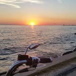 Joseph Firestone - @josephfirestone - Instagram