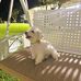 Joseph Florence - Facebook