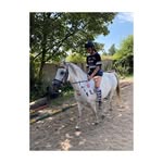 Joseph Flory - @josephflory5 - Instagram