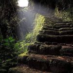 Joseph Foran - @jwmforan - Instagram