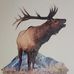 Joe Fredrickson - Facebook