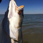 @joseph.friedrichs - Instagram
