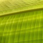 joseph_richard_friedrich - @joseph_friedrich_creative - Instagram