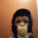 Joseph Fultz - Facebook