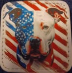 Joseph Furio Jr. - Facebook
