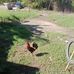 Joseph Gamboa - Facebook