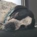 Joseph Gebhardt - Facebook