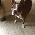 Joseph Gierbolini - @josephgierbolini - Instagram