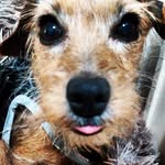 Joseph - @joseph_gieroska09 - Instagram