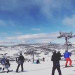 Joseph Giuffre - @giuffrejoseph2 - Instagram