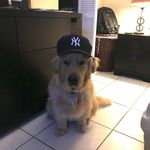 Eddie Joseph Gizzi - @edwardgizzi3150 - Instagram
