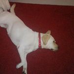 @matteo_joseph_gizzi - Instagram