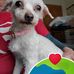Joseph Grasser - Facebook