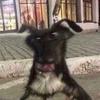Joey - @joseph_gregorich - TikTok