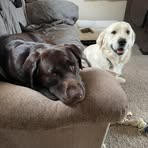 Joseph Grim - Facebook