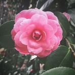 Joseph Grimaud - Facebook