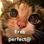 Joseph Guardiola - @joseph.guardiola.1447 - Instagram