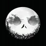 Joseph Guy - @joseph.guy.7583 - Instagram