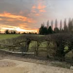 Joseph Guy - @joeguygardening - Instagram