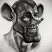 Joseph Hack - Facebook