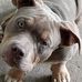 Joseph Hackman - Facebook