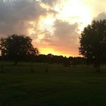 Joseph Hakes - @josephhakes - Instagram