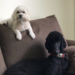Joseph Halford - @donutsjoey177 - Instagram
