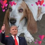 Joseph Blayne Hallmark - @joseph.b.hallmark - Instagram