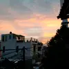 Joseph Hansel - @josephhansel4 - TikTok