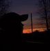 Joey Harless - Facebook